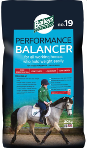 Baileys No 19 Performance Balancer 20kg                     