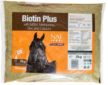Biotin Refill 