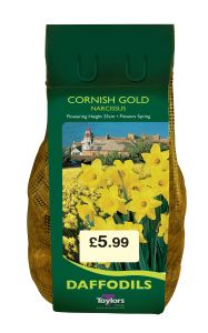 Daffodils - Cornish Gold