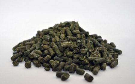 Dengie Grass Pellets 15kg                                   