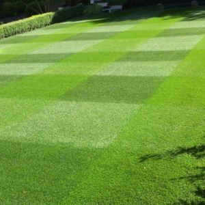 Masterline PM52 Greenfine Front Lawn 20kg