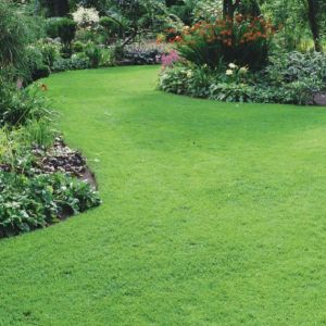 Masterline PM51 Greenscape Back Lawn - 20kg