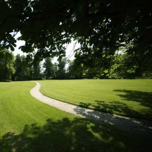 Masterline PM60 Greenshade Shady Lawn Mix