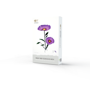 Henry Bell Pansy Bird Feeder Bath                           