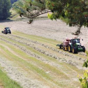 Haylage Mix 20kg