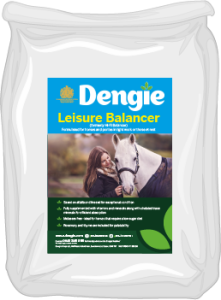 Dengie Leisure Balancer