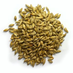 25Kg Crushed Maltings Gold Malt                            