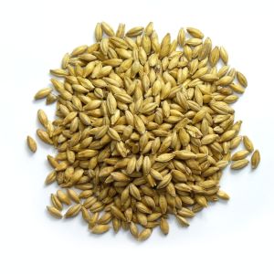 25Kg Crushed Maris Otter Malt