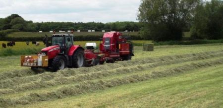 Meadow Hay Mix 20kg