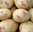 8 x 2kg Osprey Seed Potatoes