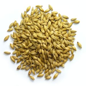 25Kg Crushed Pale Ale Malt