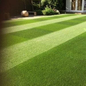 Masterline PM50 Quality Lawn with Ryegrass - 20kg