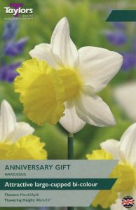 Daffodils - Anniversary Gift