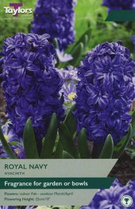 Hyacinth - Royal Navy