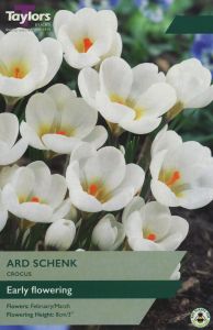 Crocus - Ard Schenk