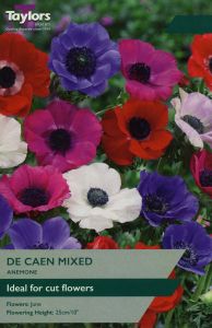 Taylors Anemone - De Caen Mixed