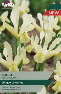 Iris - Louise