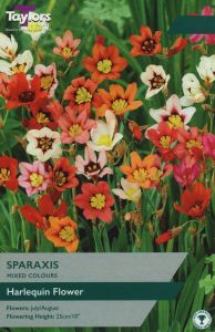 Taylors - Sparaxis
