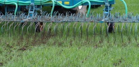 Typhoon with Clover 20kg