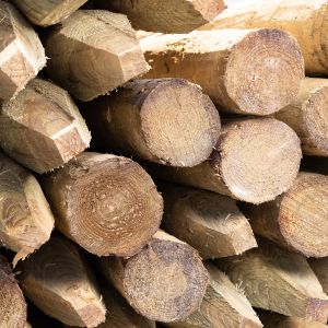 Traditional Peeled Post / Strainer 8' x 7" - 8" (2.4m x 175mm - 200mm)  
