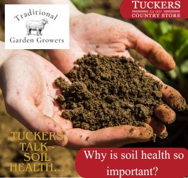 Why is natural fertilizer such a great idea? 