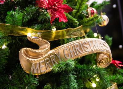 Christmas and New Year Opening Times 2024