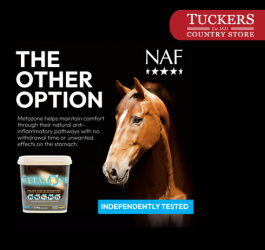 Why choose Metazone for your horse? 