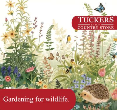 Gardening for Wildlife: How Healthy Soil Creates Thriving Gardens and Biodiversity