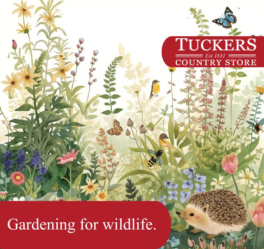 Gardening for Wildlife: How Healthy Soil Creates Thriving Gardens and Biodiversity